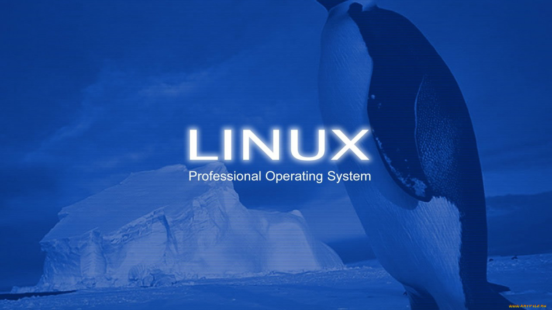 , linux